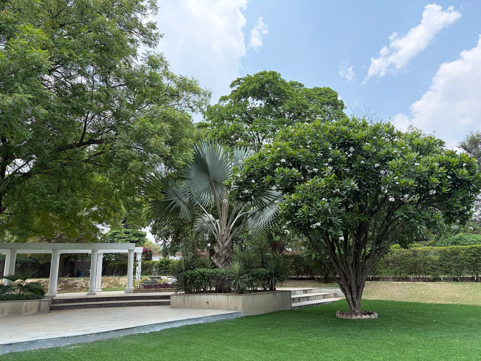 Lawns at House of Joy, photo 2